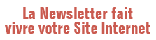 Rédaction Newsletter